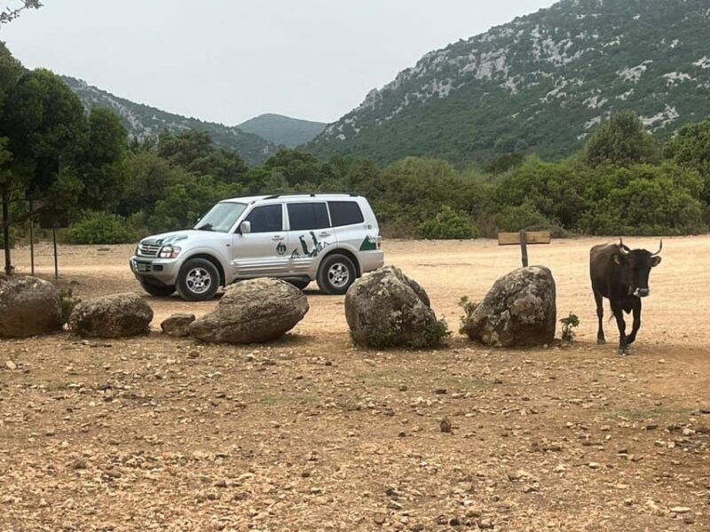 from-arbatax-4hour-jeep-tour-of-the-golgo-plateau-in-baunei