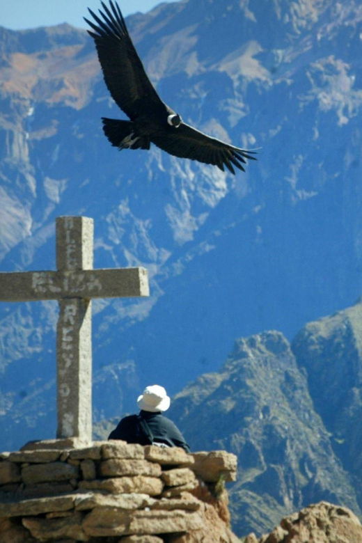from-arequipa-1-day-tour-to-the-colca-canyon-breakfast