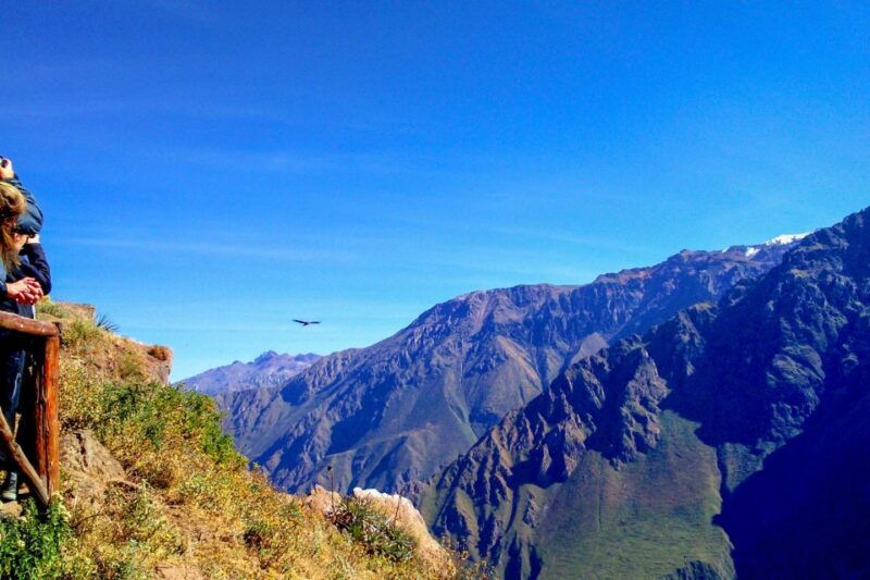from-arequipa-2-day-colca-canyon-tour-with-transfer-to-puno