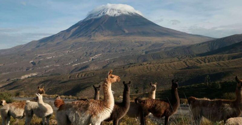 from-arequipa-2-day-excursion-to-misti-volcano