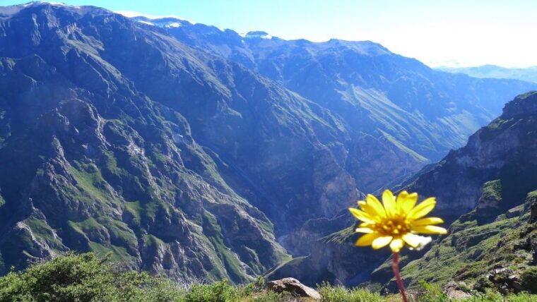from-arequipa-3-day-colca-canyon-hike-tour-adventure