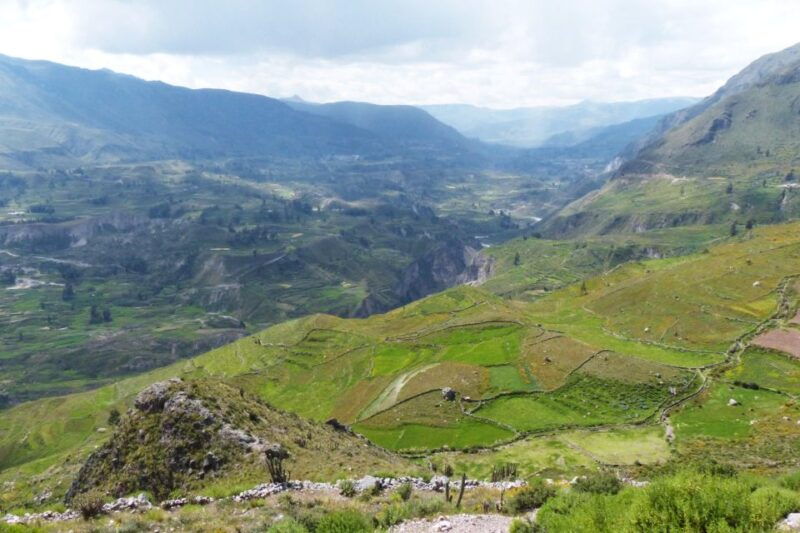 from-arequipa-chivay-and-colca-canyon-full-day-tour