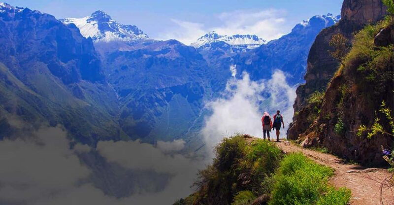 from-arequipa-colca-canyon-day-trip-with-transfer-to-puno