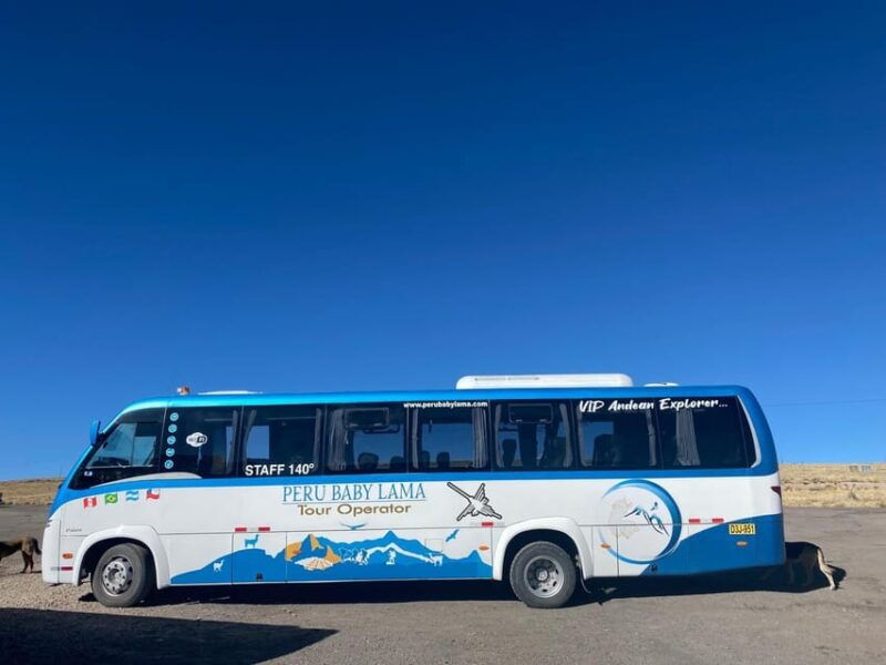from-arequipa-colca-canyon-day-trip-with-transfer-to-puno