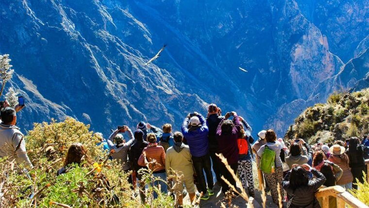 from-arequipa-colca-canyon-day-trip-with-transfer-to-puno