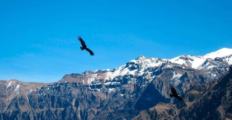 from-arequipa-colca-canyon-excursion-2d-with-end-in-puno