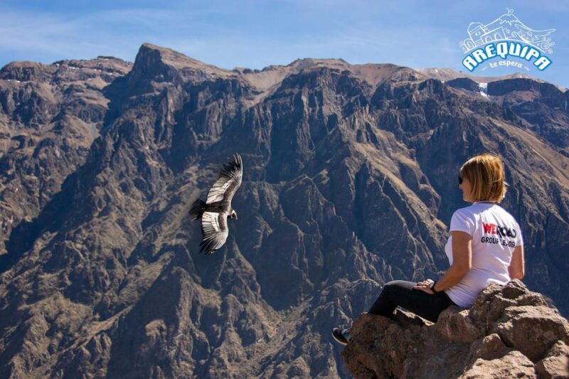 from-arequipa-colca-valley-thermal-baths-small-group-trip