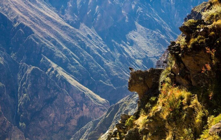 from-arequipa-colca-valley-thermal-baths-small-group-trip