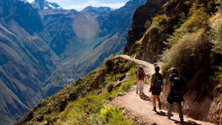 from-arequipa-full-day-colca-canyon-tour