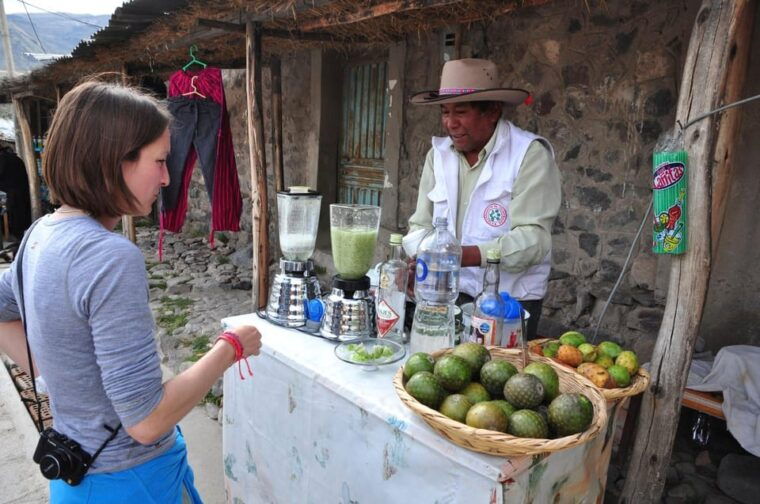 from-arequipa-fullday-tour-colca-canyon-transfer-to-puno