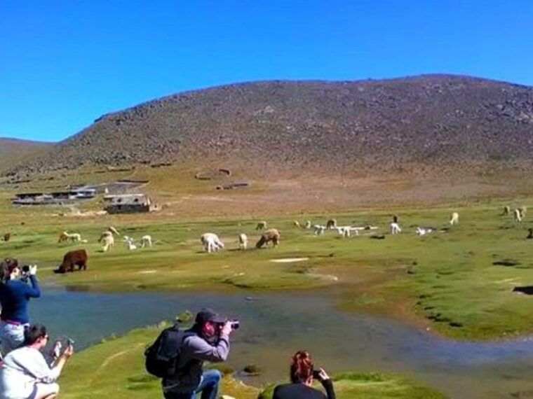 from-arequipa-tour-colca-canyon-2-days-with-end-in-puno