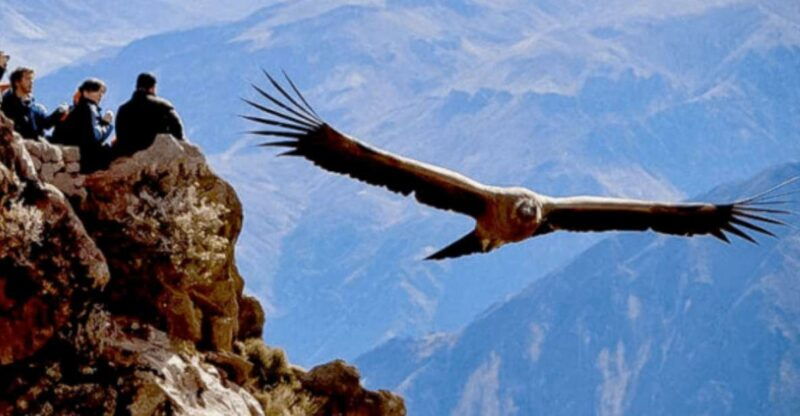 from-arequipa-tour-to-chivay-colca-canyon-2