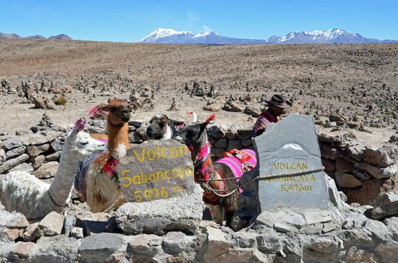 from-arequipa-tour-to-colca-canyon-transfer-to-cusco