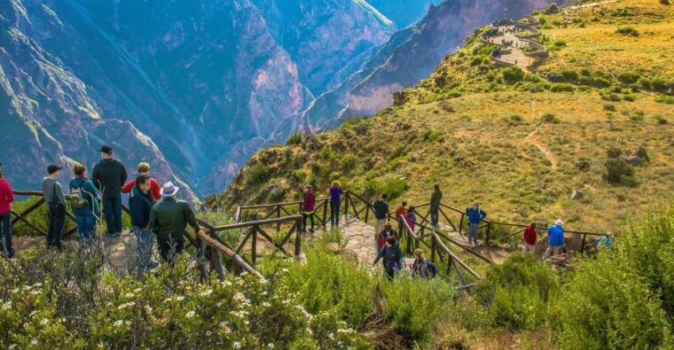 from-arequipa-tour-to-colca-canyon-transfer-to-cusco