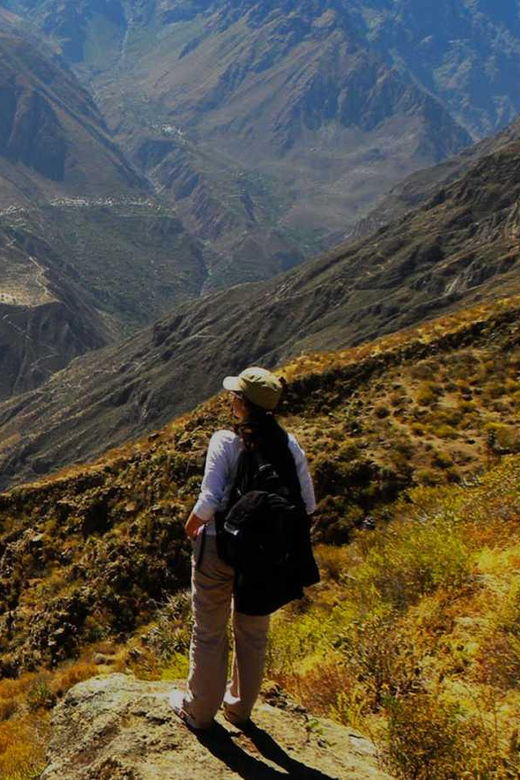 from-arequipa-visit-the-colca-canyon-and-end-in-puno