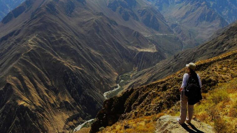 from-arequipa-visit-the-colca-canyon-and-end-in-puno