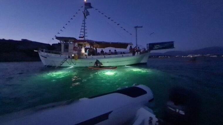 from-argostoli-vardiani-island-sunset-cruise-greek-meze