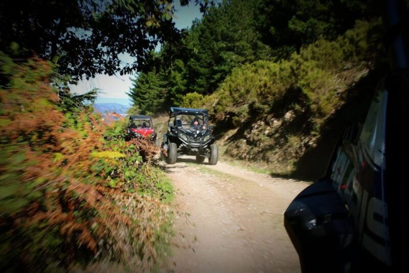 from-aritzo-buggy-tour-on-gennargentu