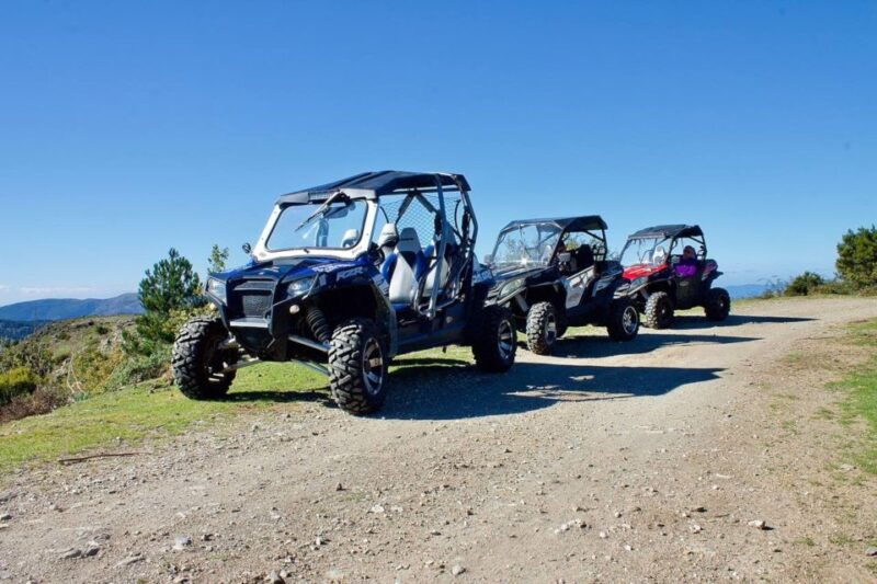 from-aritzo-buggy-tour-on-gennargentu