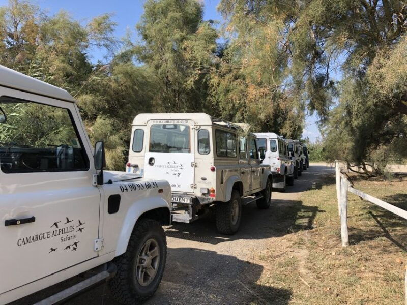 from-arles-half-day-4x4-camargue-safari