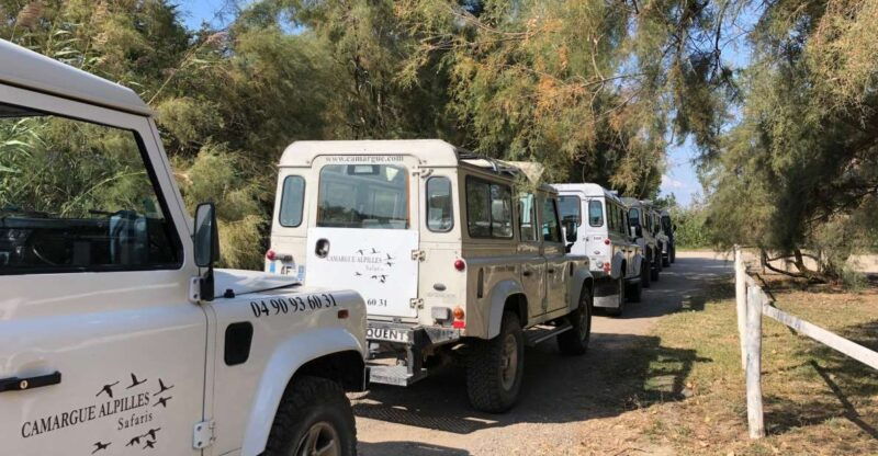from-arles-half-day-4x4-camargue-safari