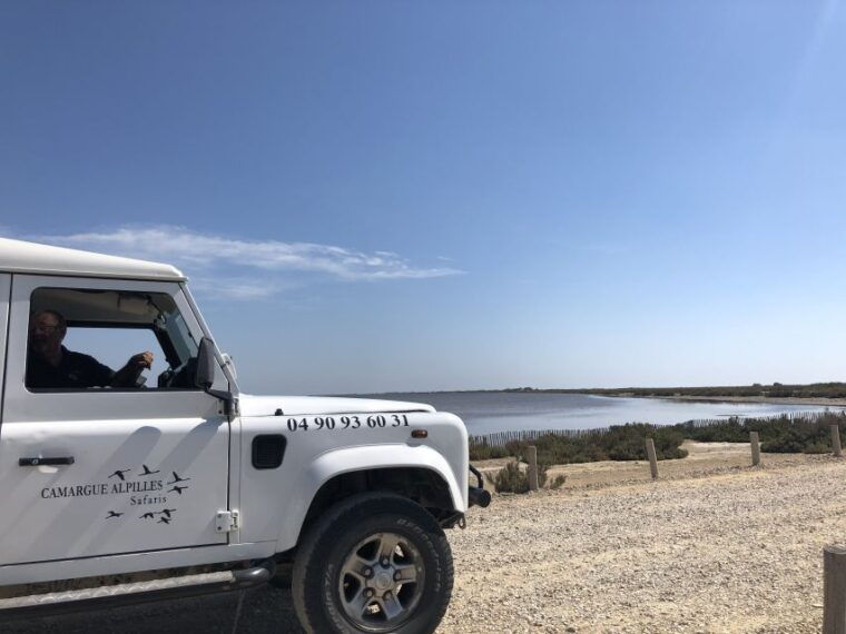 from-arles-half-day-4x4-camargue-safari