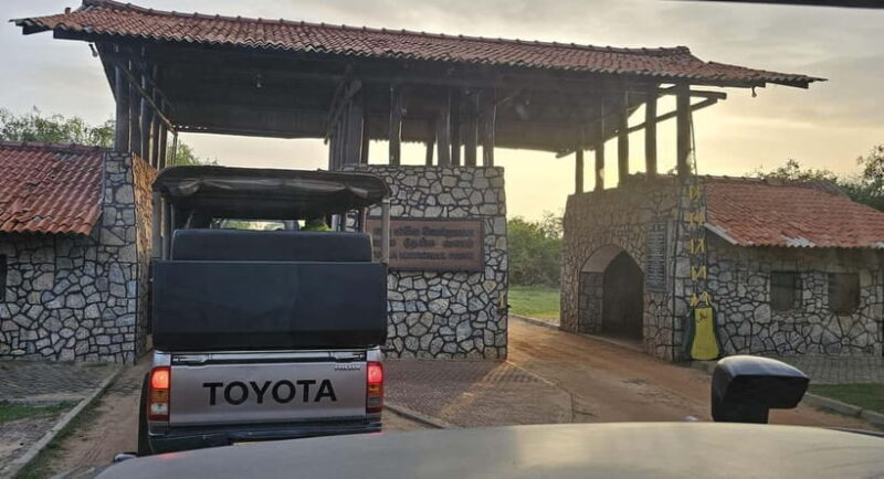 From Around Tangalle: Half-Day Yala Safari Private Tour(M/E) - Key Points