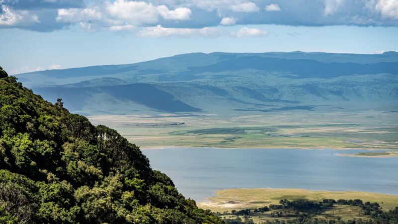 From Arusha : 11-day Amazing North Tanzania Safari,Serengeti - FAQ
