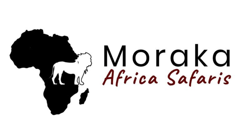 From Arusha: 2-Day Tarangire and Ngorongoro Safari - Key Points  