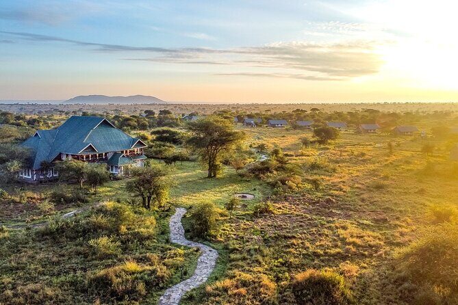 From Arusha : 3 Days Private Safari Tarangire N.P and Serengeti - Final Thoughts: Is This Safari Right For You?