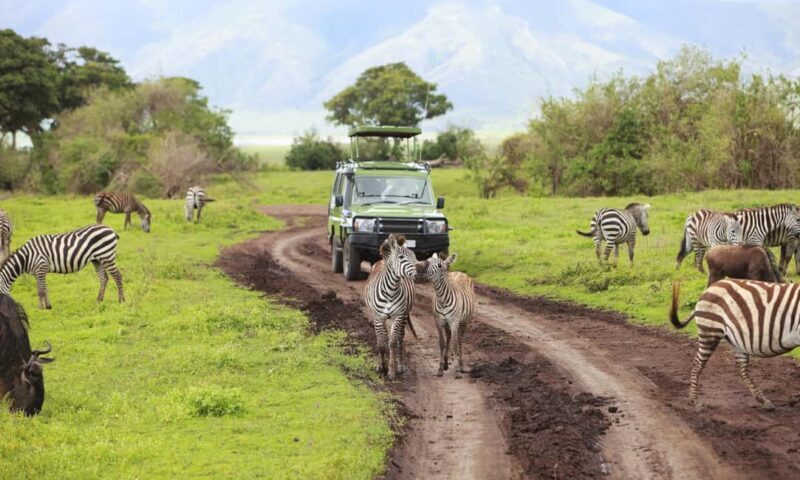 From Arusha: 4-Day Serengeti National Park Safari - Value & Pricing Analysis