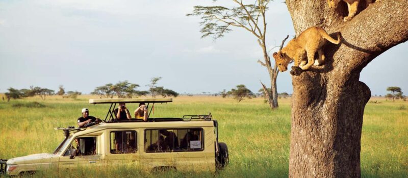 From Arusha: 4-Day Serengeti National Park Safari - FAQ