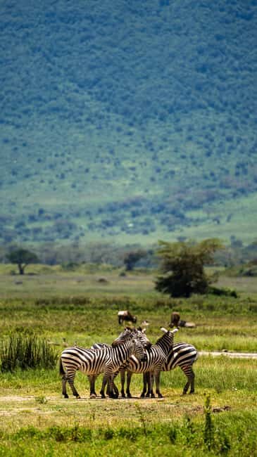 From Arusha: 5-Day Valleys and Highlands Safari Ngorongoro - FAQ