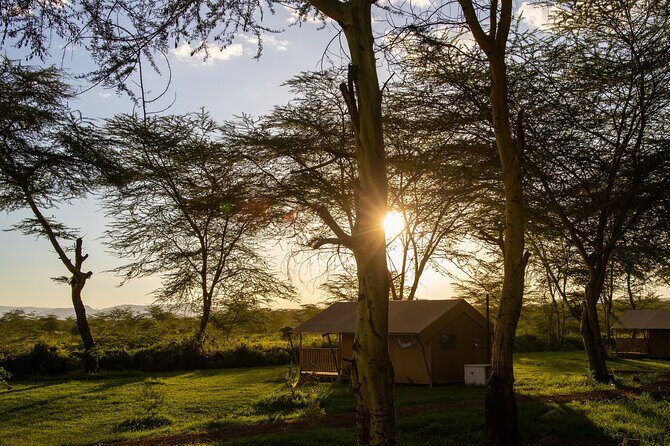 From Arusha: 5 Days Classic Safari Cats, Calves & Crater - The Sum Up