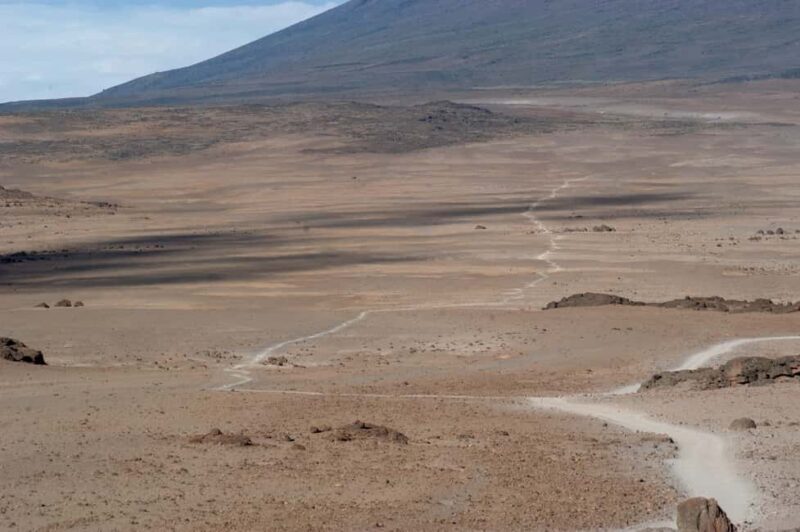 From Arusha: 7 Day Guided Kilimanjaro Rongai Route - Detailed Itinerary Breakdown