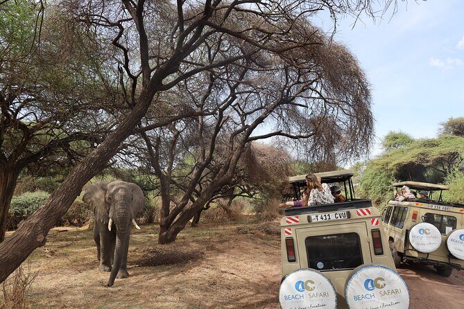 From Arusha: 9 Days Private Guided Classic Game Drive in Tanzania - FAQ