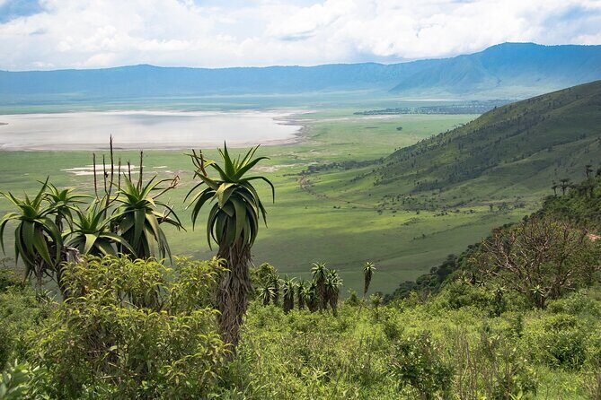 From Arusha : Days Safari Northern Circuit to Maasai Boma - What Makes This Tour Stand Out?