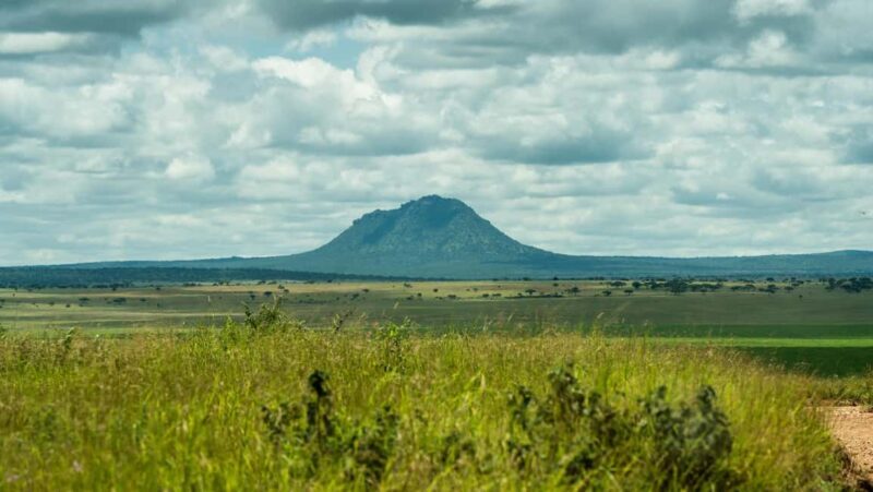 From Arusha: Guided 1 Day Tarangire National Park safari - FAQs
