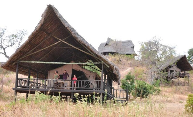 From Arusha: Lake Manyara & Ngorongoro Crater 2-Day Tour - The Experience in Detail