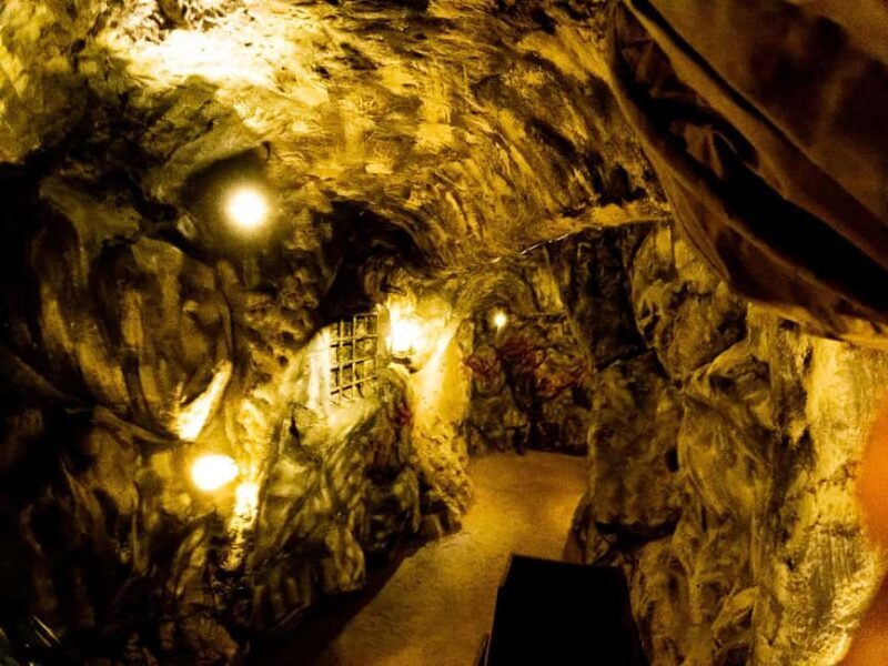 From Arusha/Manyara:Tanzanite Experience Manyara Museum tour - Key Points  