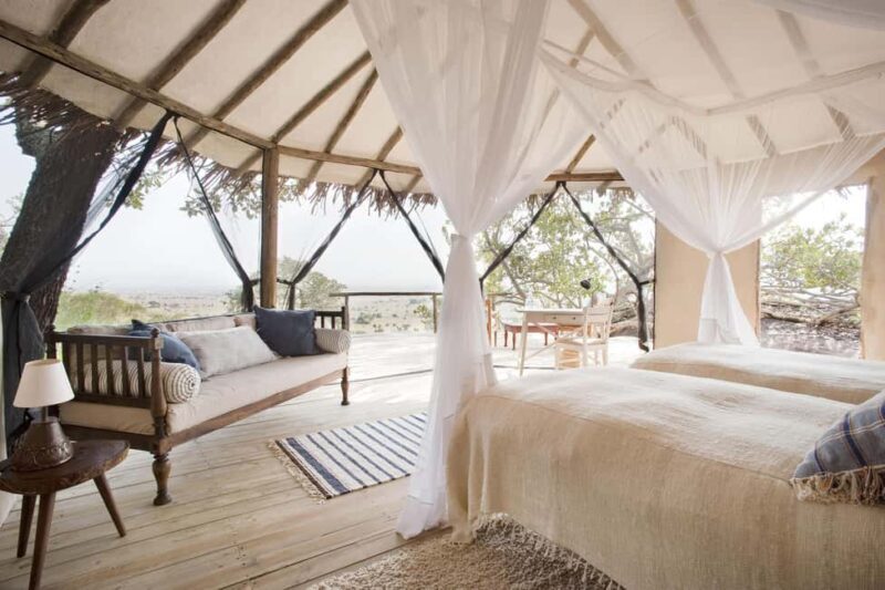 From Arusha: Safari in Serengeti, Tarangire, and Ngorongoro - Practical Considerations & Tips