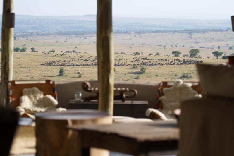 From Arusha: Safari in Serengeti, Tarangire, and Ngorongoro - The Sum Up