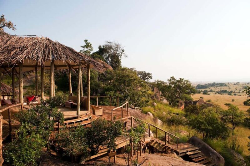 From Arusha: Safari in Serengeti, Tarangire, and Ngorongoro - FAQ