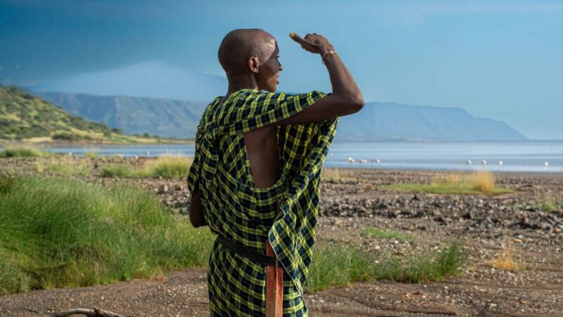 From Arusha to Zanzibar : 11 days From Bush to Beach safari - The Experience: What You Can Expect