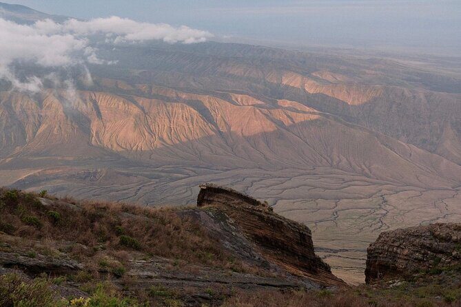 From Arusha to Zanzibar : 11 days From Bush to Beach safari - Who Is This Tour Best For?
