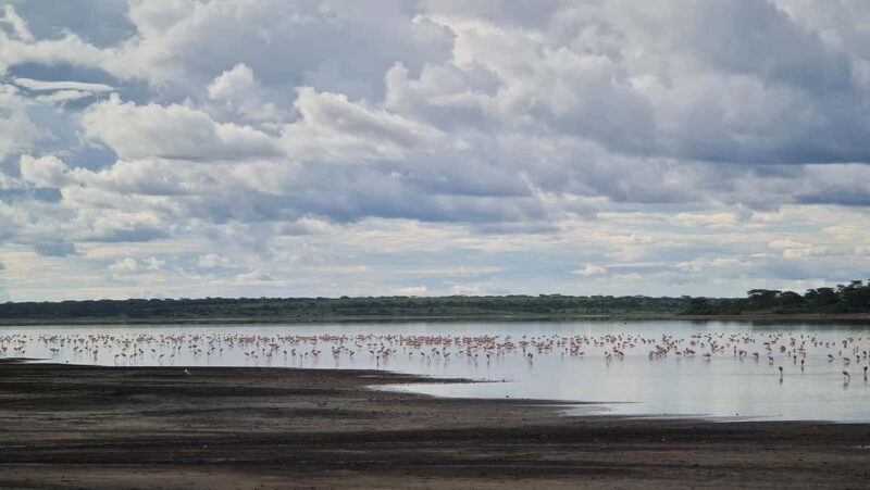 From Arusha:The 4-Day Safari Expedition to Tarangire & Ndutu - FAQ
