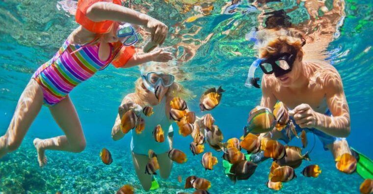 from-asia-marina-pier-full-day-phi-phi-khai-island-trip