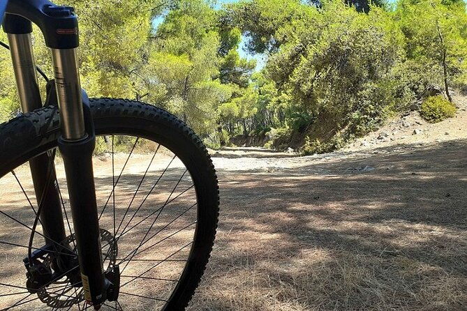 from-athens-aegina-island-e-bike-walking-day-tour