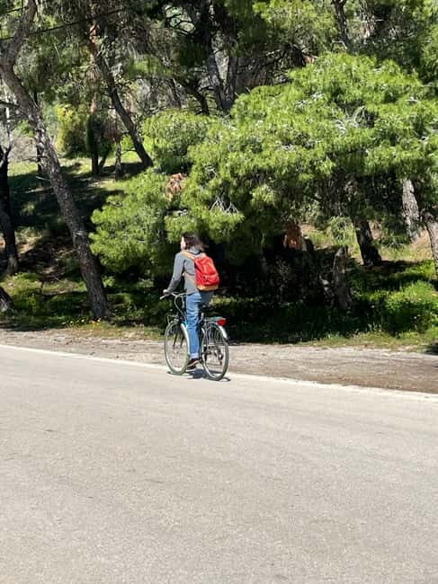 From Athens: Bike & Island Full-Day Tour to Poros - The Sum Up
