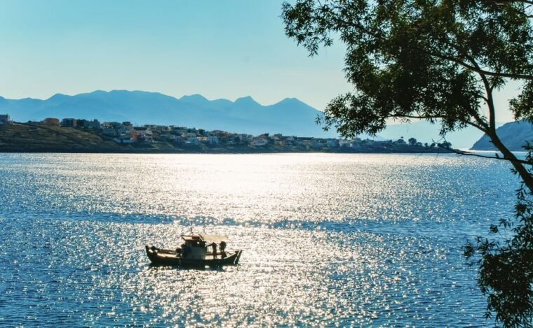 from-athens-hydra-poros-and-aegina-day-cruise-with-lunch-2